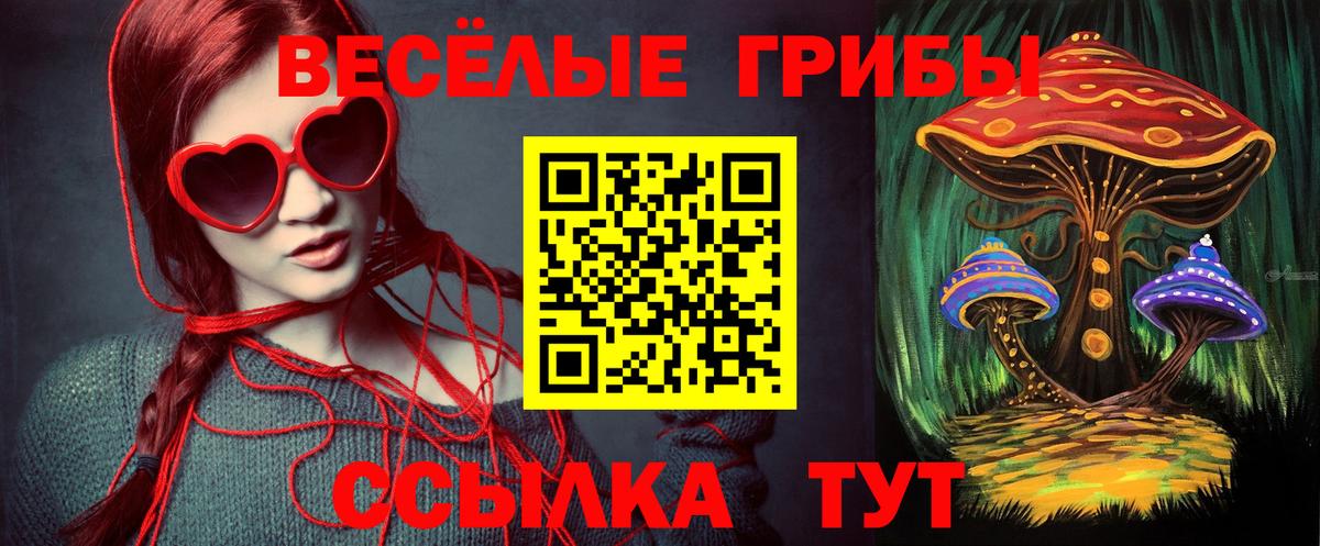 Галлюциногенные грибы мицелий  Вход с VPN  Псилоцибиновые грибы Psilocybine cubensis  Новокубанск 