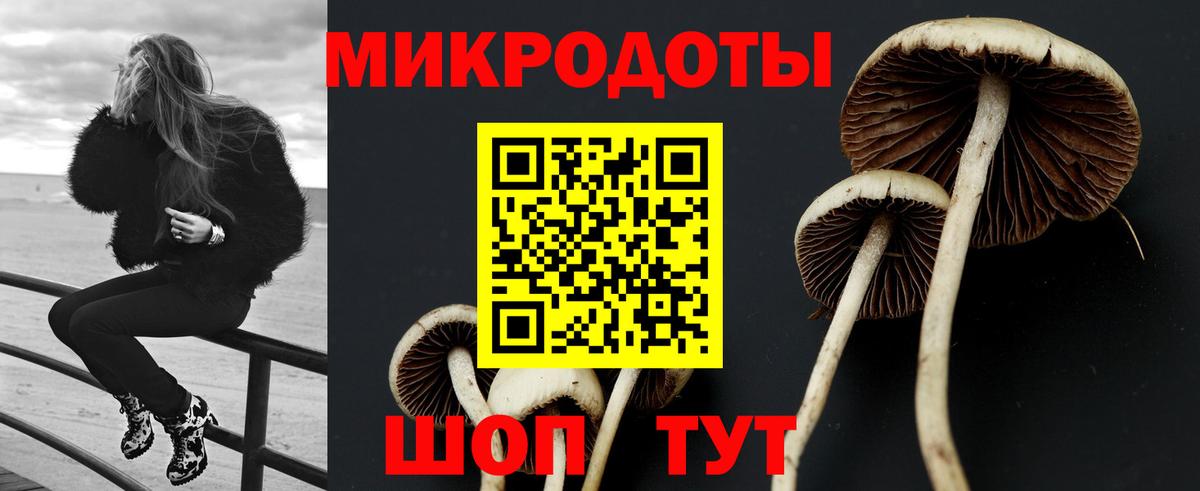 Галлюциногенные грибы Cubensis Новокубанск